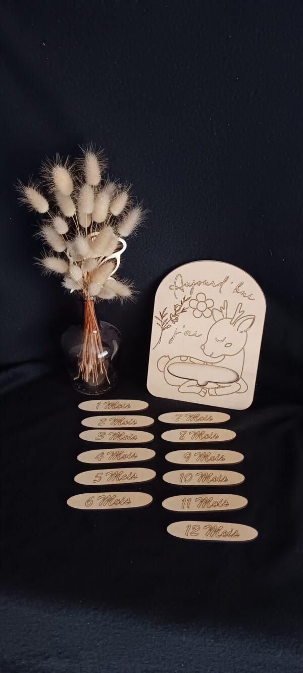 carte étape bébé en bois