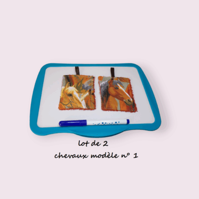 Duo de lingettes pour ardoise scolaire avec plusieurs motifs amusants pour les enfants.