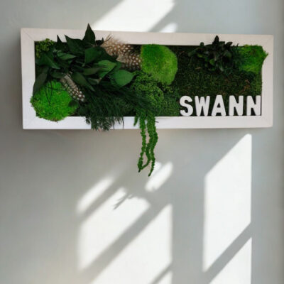 tableau végétal stabilisé deco-vegetale