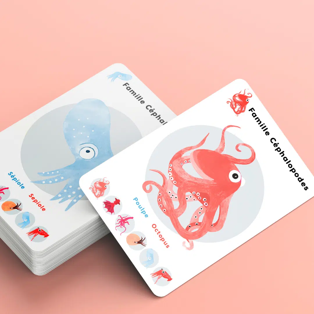 jeu de société, jeu de 7 familles la classification des animaux des océans – Image 2