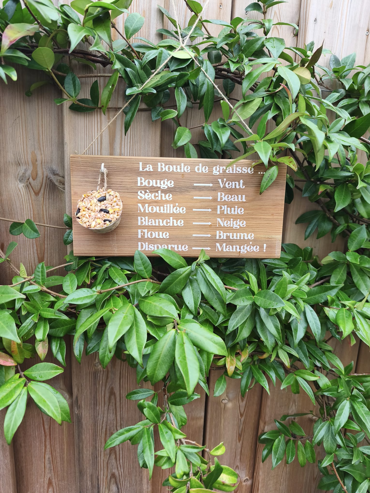 Mangeoire oiseaux en bois – Support boule de graisse – Baromètre humoristique jardin- Cadeau Noël homme – Image 7