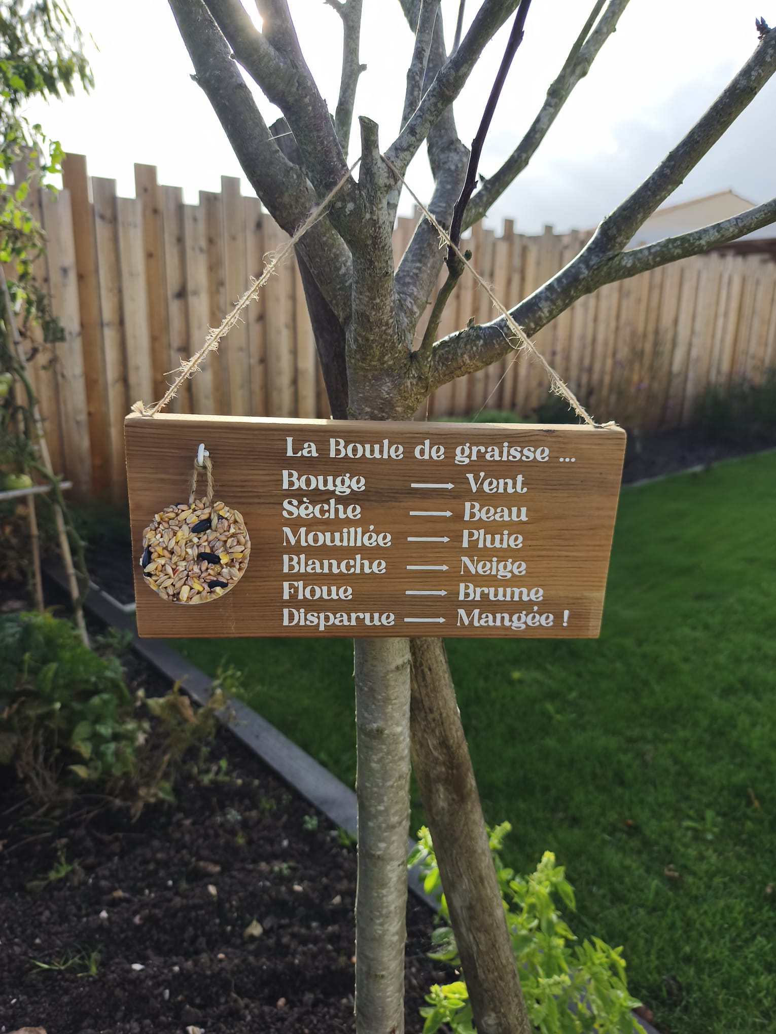 Mangeoire oiseaux en bois – Support boule de graisse – Baromètre humoristique jardin- Cadeau Noël homme – Image 5