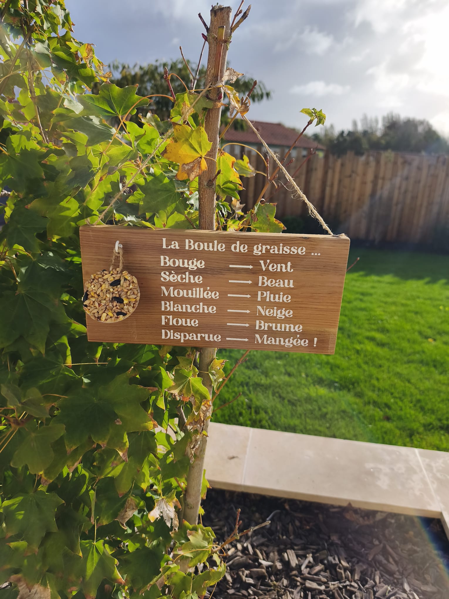 Mangeoire oiseaux en bois – Support boule de graisse – Baromètre humoristique jardin- Cadeau Noël homme – Image 4