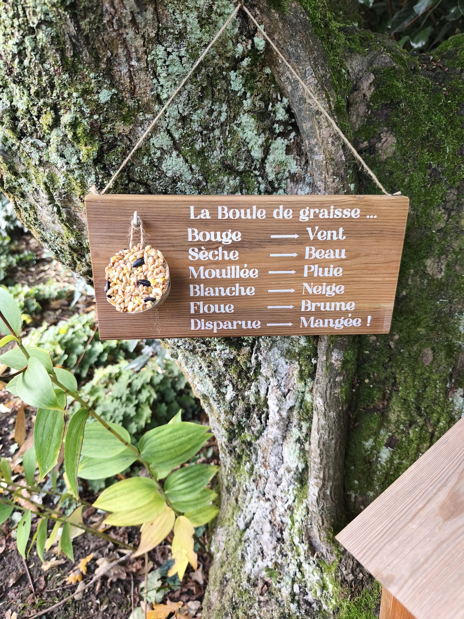 Mangeoire oiseaux en bois – Support boule de graisse – Baromètre humoristique jardin- Cadeau Noël homme – Image 3