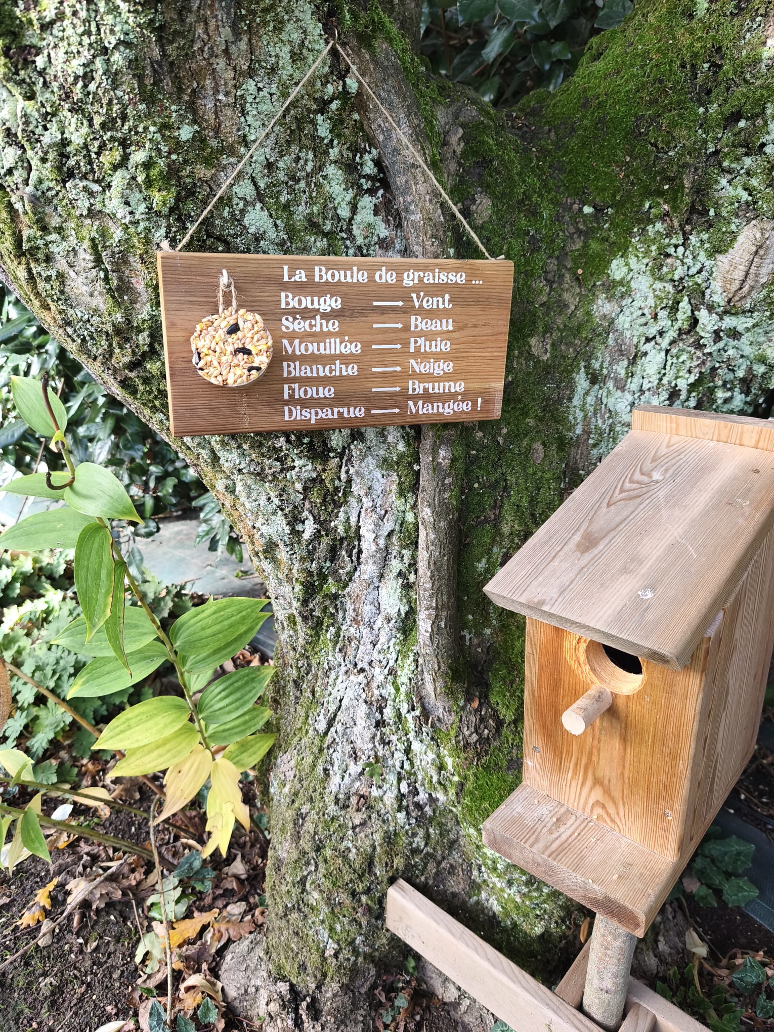 Mangeoire oiseaux en bois – Support boule de graisse – Baromètre humoristique jardin- Cadeau Noël homme – Image 2