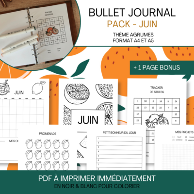Aperçu de 11 pages de bullet journal à imprimer, avec des illustrations d’agrumes et une liste détaillée du contenu (calendrier, projets, tracker de stress, etc.).
