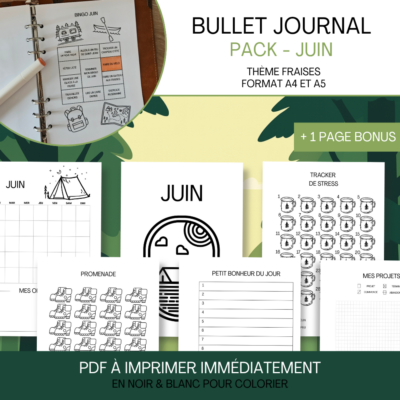 Aperçu du bullet journal sur le thème du camping sauvage, avec des pages de suivi (calendrier, tracker de stress, promenades, etc.) et des illustrations de tasses de camping et chaussures de randonnée.