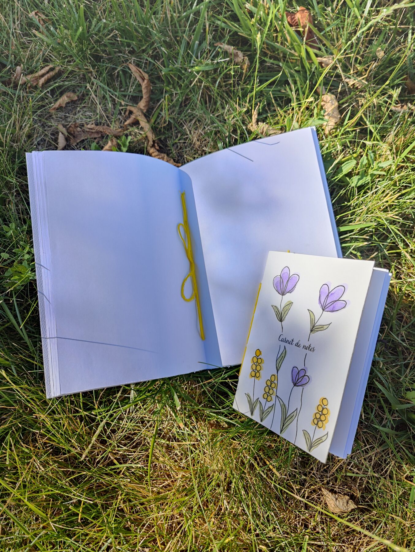 Un carnet A5 ouvert avec une reliure jaune, posé sur l’herbe à côté d’un carnet A6. Les deux carnets ont des couvertures illustrées de fleurs violettes et de boutons d’or peints à l’aquarelle.