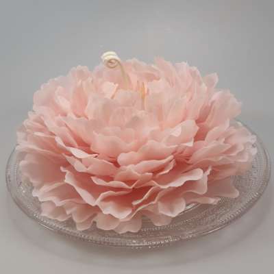 Bougie Pivoine en Cire d’Abeille – Sculptée à la Main