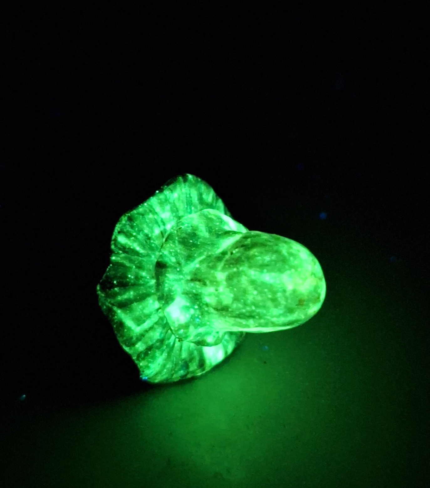 Pendentif Champignon Secret Magique Luminescent en Résine et Argile Polymère – Image 2