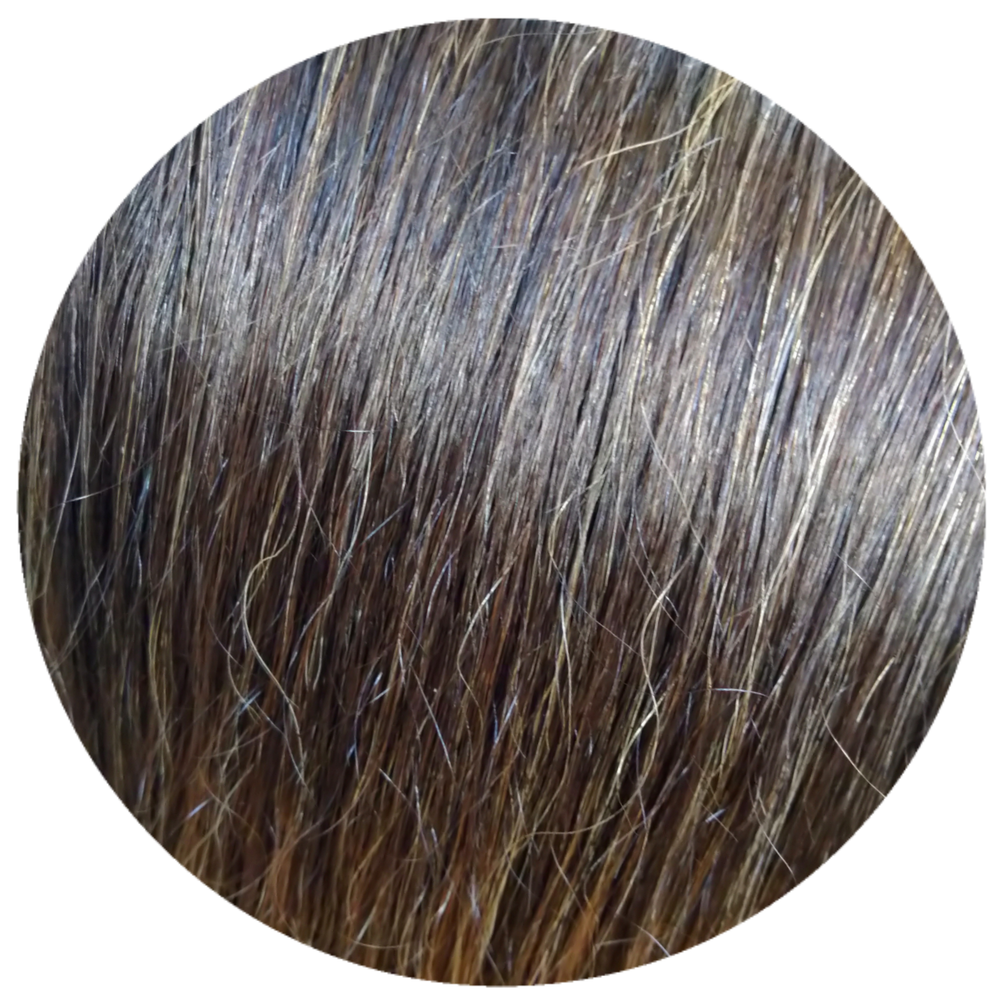 HennaBrownie Blond foncé – Image 2