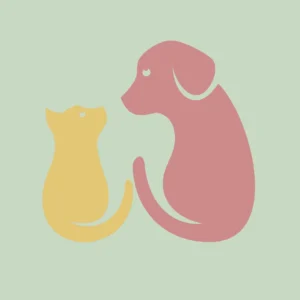 Accessoires animaux